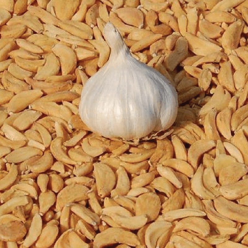 Dehydrated Garlic Flake Dehydrated Garlic Flake