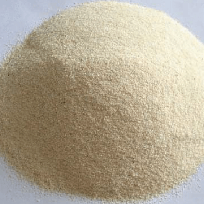 Dehydrated Garlic Powder Dehydrated Garlic Powder