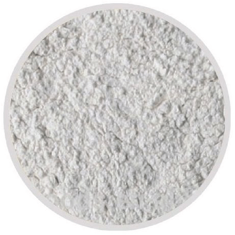 Dehydrated White Onion Powder Dehydrated White Onion Powder