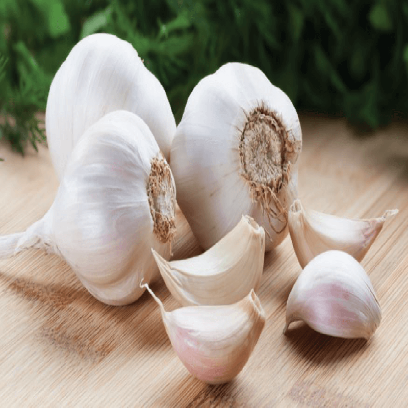 Fresh Garlic Fresh Garlic