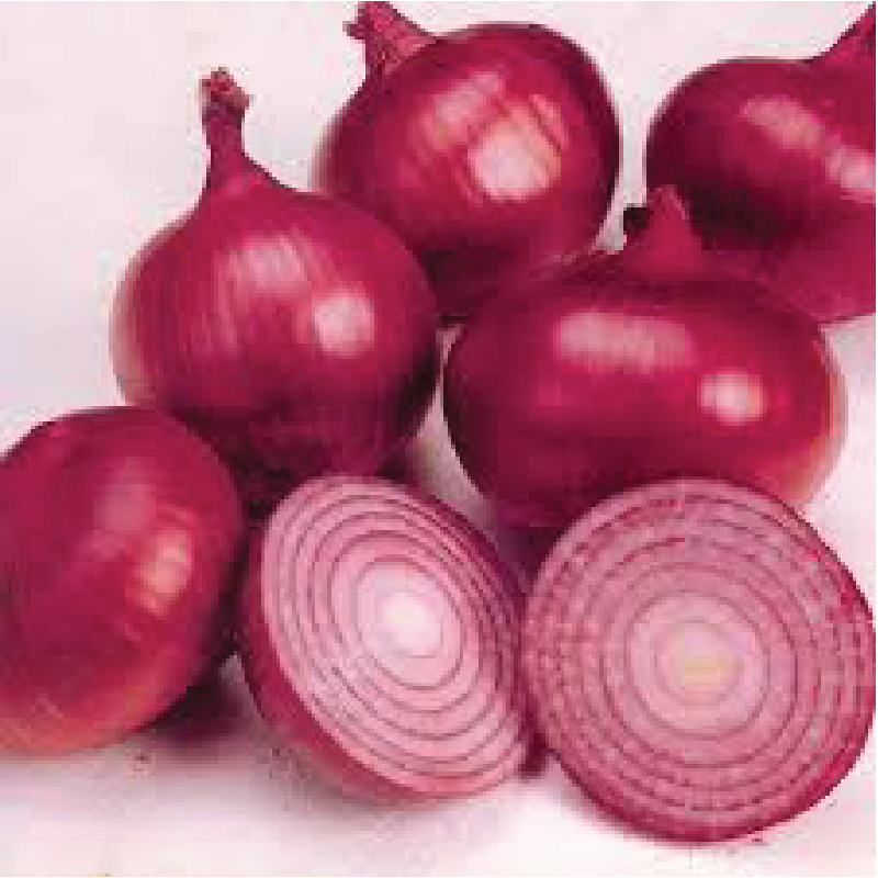 Fresh Red Onion Fresh Red Onion
