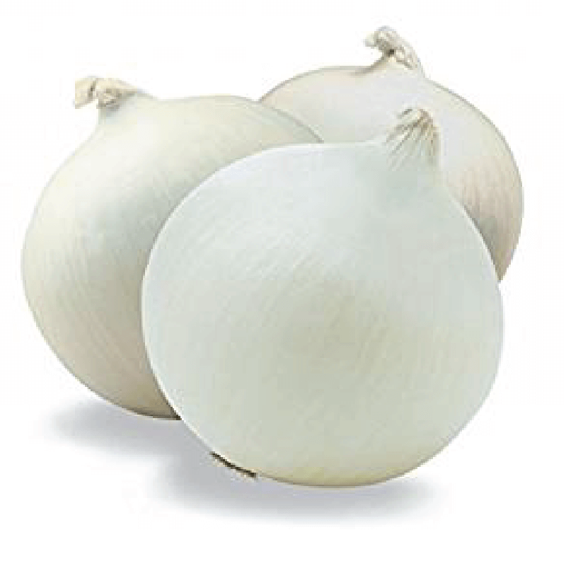 Fresh White Onion Fresh White Onion